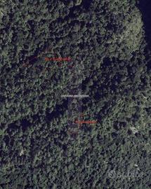 Immobile in asta di 8250 m² a Castione Andevenno