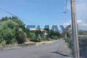 Terreno Edificabile - San Pietro Clarenza