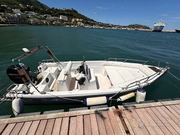 Saver tc 5,40 + mercury 40/60 (2018)