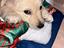 Immagine 6