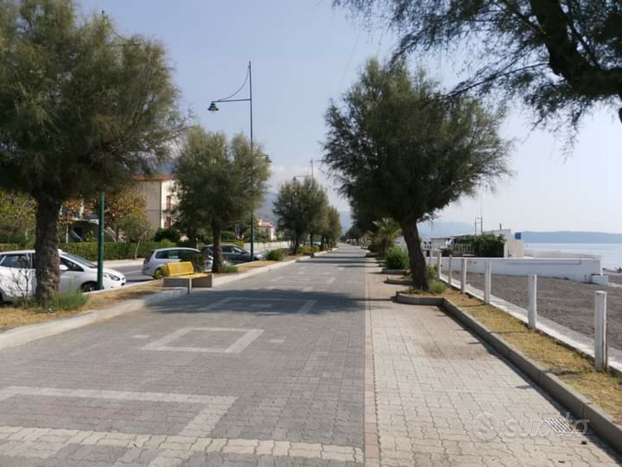 Tortora marina