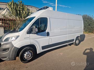 FIAT Ducato 35 2.3 MJT 150CV PLM-TM Furgone FRIGO
