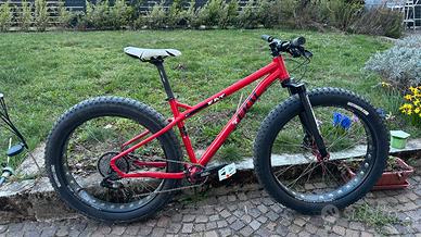 Fat bike FRM