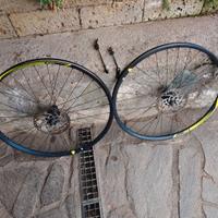 Ruote MTB 29 giant