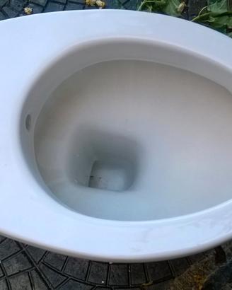 sanitari disabili