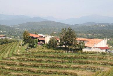 Cessione attività - Cividale del Friuli