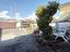 Immagine 27