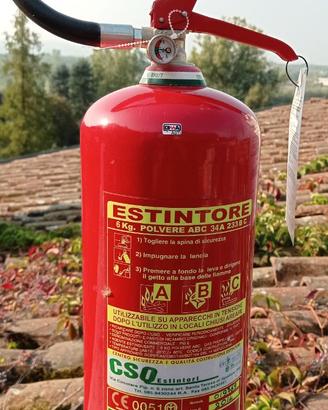 Estintore a polvere 