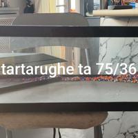 vasca per tartaruga