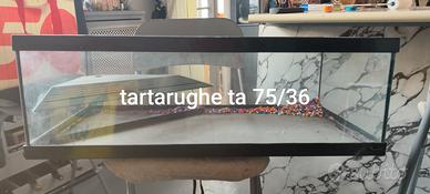 vasca per tartaruga