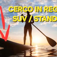 suv/stand up 