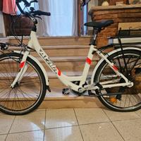 Bicicletta E-Run 6.1 WHITE 4WE D45