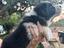 Immagine 2