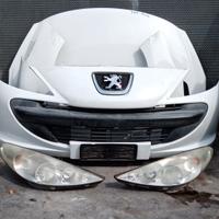 Peugeot 206 Plus 1.1 benzina 2005 Muso