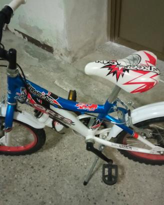 Bicicletta