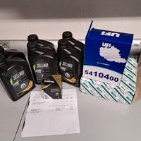 tagliando olio e filtro motore Fiat