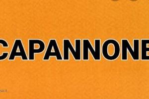 Mancasale capannone indipendente di mq 600