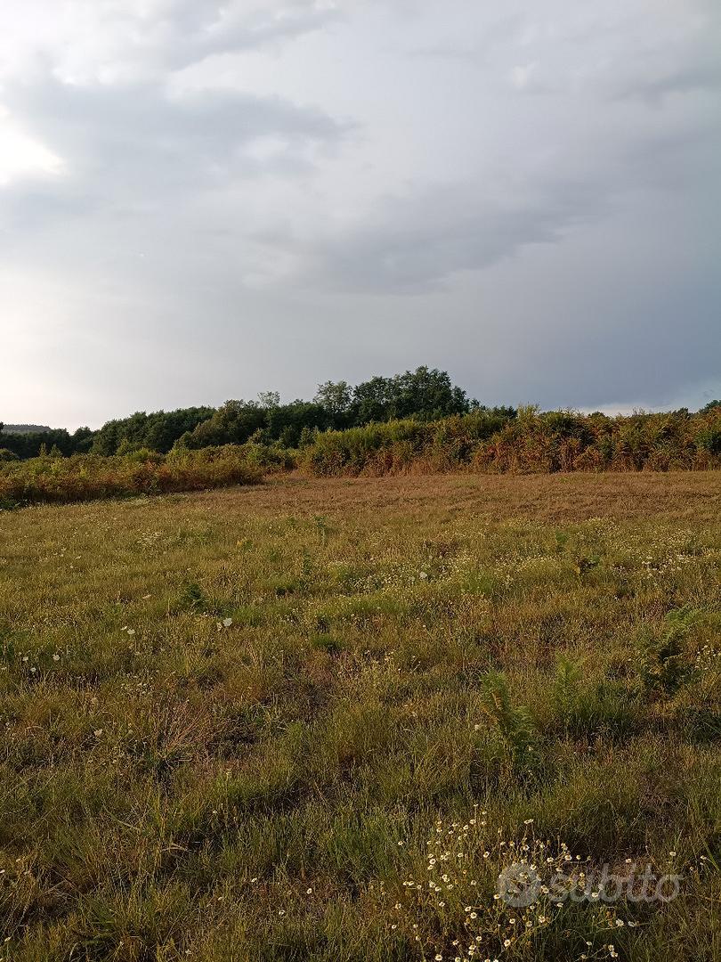 Terreno agricolo localita' Santa Maria Inferiore - Vista 2