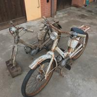 Lambrettino innocenti