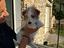 Immagine 4