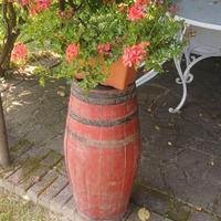 botte