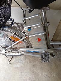 batteria per bici elettrica 