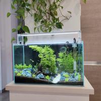 acquario completo 