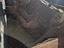 Immagine 16