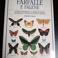 FARFALLE E FALENE  NUOVO DORLING KINDERSLEY