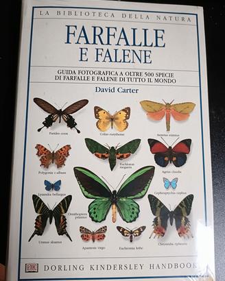 FARFALLE E FALENE  NUOVO DORLING KINDERSLEY