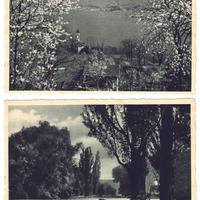 LOTTO N. 11 CARTOLINE NUOVE PAESAGGI VARI -VINTAGE