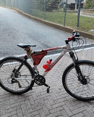 bicicletta silver Star 