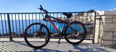 BICI MOUNTAIN BIKE SCOTT ASPECT TAGLIA L