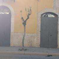 portoni serrande porte cancelli in ferro 