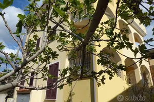 Palazzina - siniscola