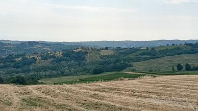 Azienda Vitivinicola di 10 ettari uve DOC