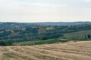 Azienda Vitivinicola di 10 ettari uve DOC