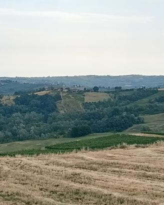 Azienda Vitivinicola di 10 ettari uve DOC