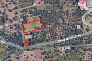 Terreno agricolo edificabile Zona Zucco -