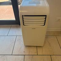 CLIMATIZZATORE pinguino