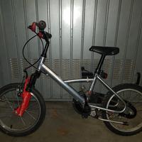 Bicicletta bimbo