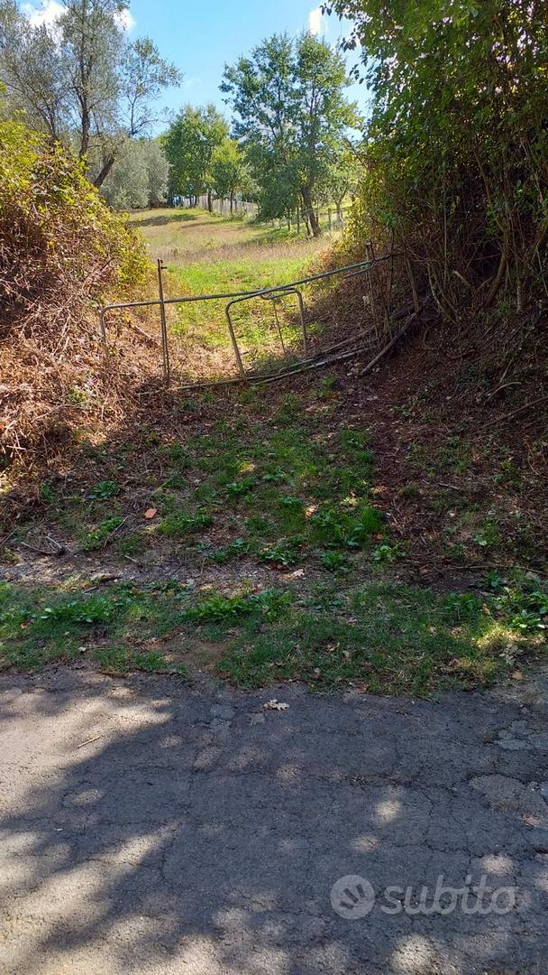 Terreno agricolo - Altro