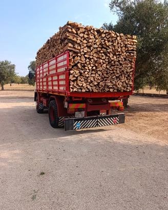 LEGNA DA ARDERE DI ULIVO SECCA E STAGIONATA 