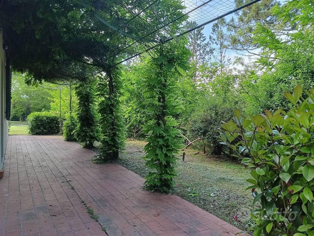Rustico / Casale di 575 m² con più di 5 locali e b - Vista 4