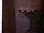 Immagine 29