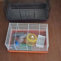 gabbia criceto 