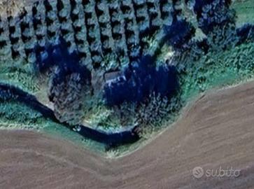 Terreno Agricolo - Bibbona