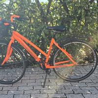 bicicletta Carisma Italian Bike