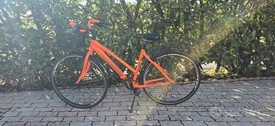 bicicletta Carisma Italian Bike