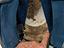 Immagine 6